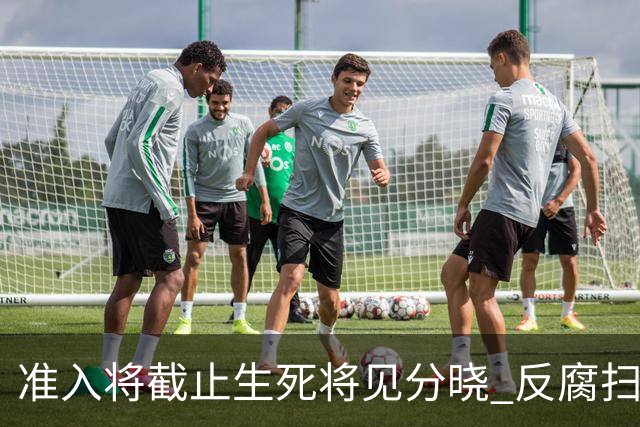 准入将截止生死将见分晓 反腐扫黑到了最后阶段