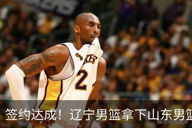 签约达成！辽宁男篮拿下山东男篮弃将，对阵青岛曾砍42+13+5
